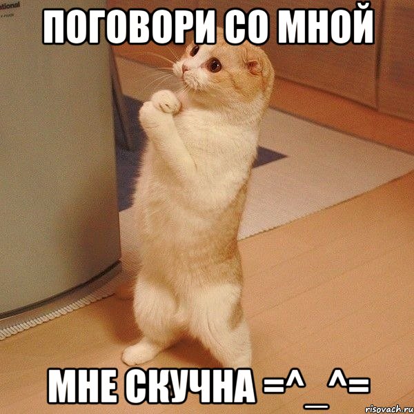 поговори со мной мне скучна =^_^=