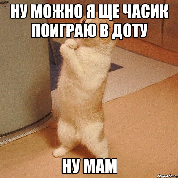 ну можно я ще часик поиграю в доту ну мам, Мем  котэ молится