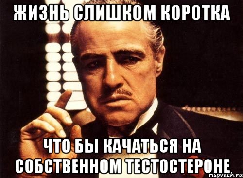 жизнь слишком коротка что бы качаться на собственном тестостероне, Мем крестный отец