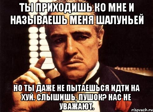 ты приходишь ко мне и называешь меня шалуньей но ты даже не пытаешься идти на хуй. слышишь, пушок? нас не уважают., Мем крестный отец