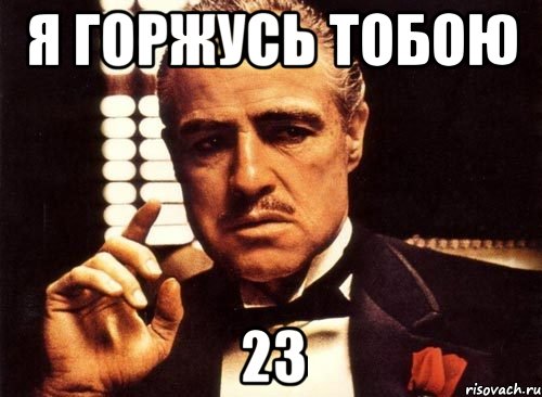 я горжусь тобою 23, Мем крестный отец