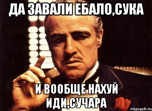 да завали ебало,сука и вообще нахуй иди,сучара, Мем крестный отец