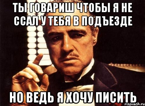 ты говариш чтобы я не ссал у тебя в подъезде но ведь я хочу писить, Мем крестный отец