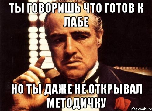 ты говоришь что готов к лабе но ты даже не открывал методичку, Мем крестный отец