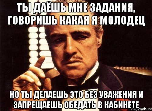 ты даёшь мне задания, говоришь какая я молодец но ты делаешь это без уважения и запрещаешь обедать в кабинете, Мем крестный отец