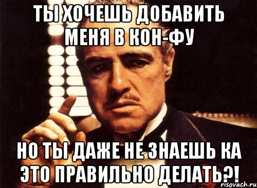 ты хочешь добавить меня в кон-фу но ты даже не знаешь ка это правильно делать?!, Мем крестный отец