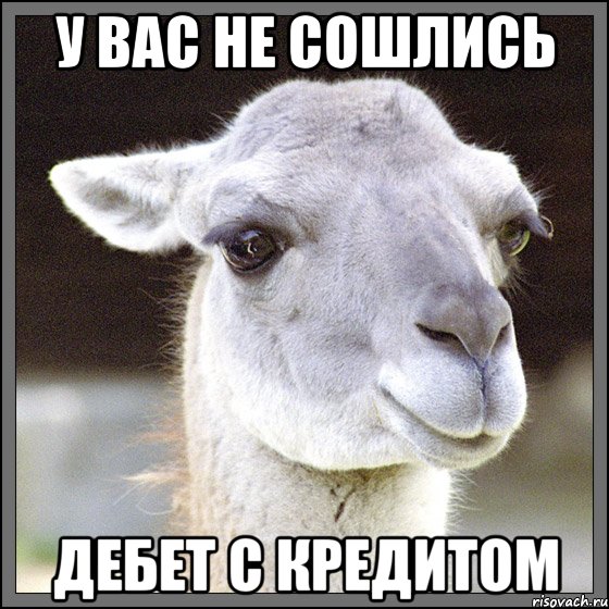 у вас не сошлись дебет с кредитом, Мем лама-мулама
