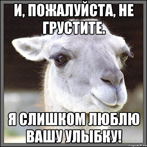 и, пожалуйста, не грустите. я слишком люблю вашу улыбку!, Мем лама-мулама