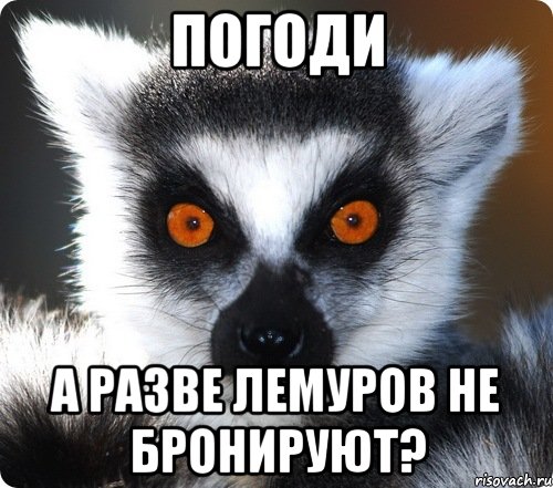 погоди а разве лемуров не бронируют?, Мем лемур