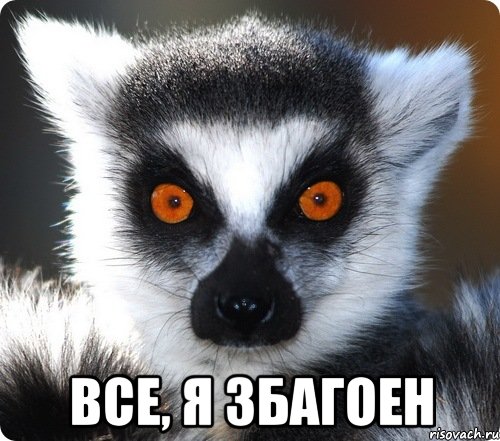  все, я збагоен