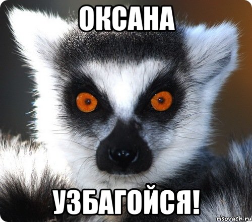 оксана узбагойся!