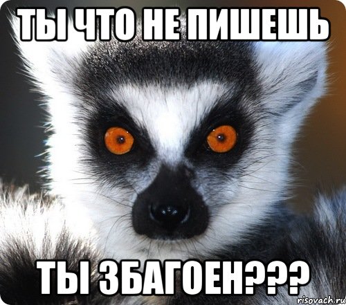 ты что не пишешь ты збагоен???