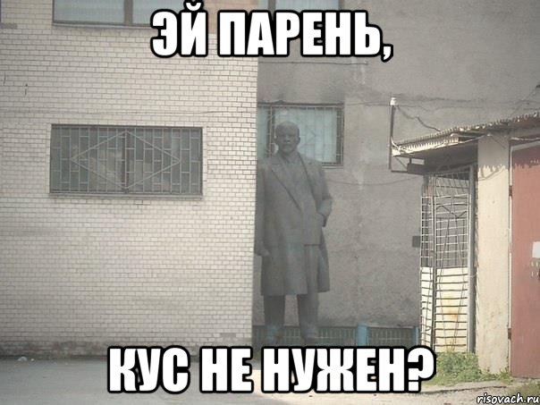 эй парень, кус не нужен?