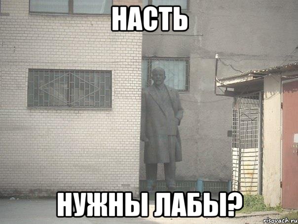 насть нужны лабы?