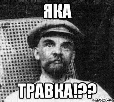 яка травка!??, Мем   Ленин удивлен