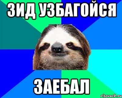 зид узбагойся заебал, Мем Ленивец