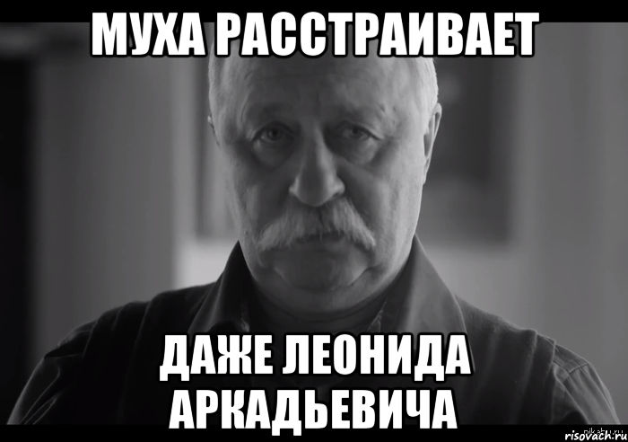 муха расстраивает даже леонида аркадьевича, Мем Не огорчай Леонида Аркадьевича