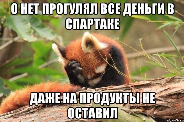 о нет прогулял все деньги в спартаке даже на продукты не оставил, Мем лиса