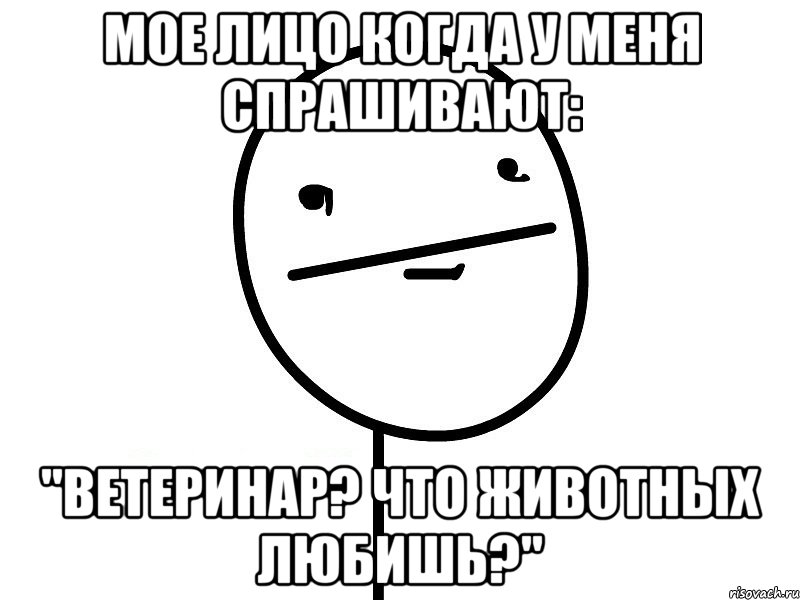 мое лицо когда у меня спрашивают: "ветеринар? что животных любишь?", Мем Покерфэйс