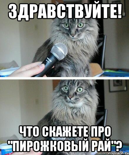 здравствуйте! что скажете про "пирожковый рай"?, Комикс  кот с микрофоном