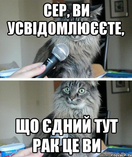 сер, ви усвідомлюєєте, що єдний тут рак це ви, Комикс  кот с микрофоном