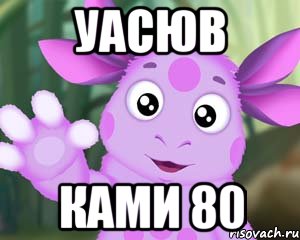 уасюв ками 80