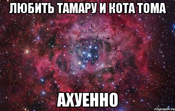 любить тамару и кота тома ахуенно