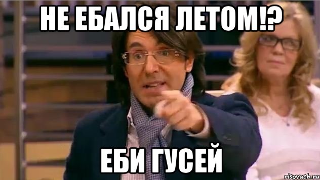 не ебался летом!? еби гусей, Мем Андрей Малахов