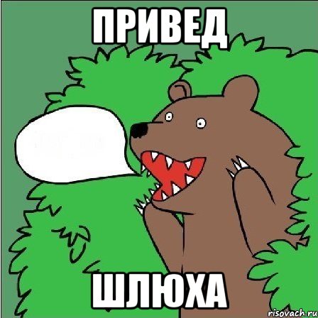 привед шлюха