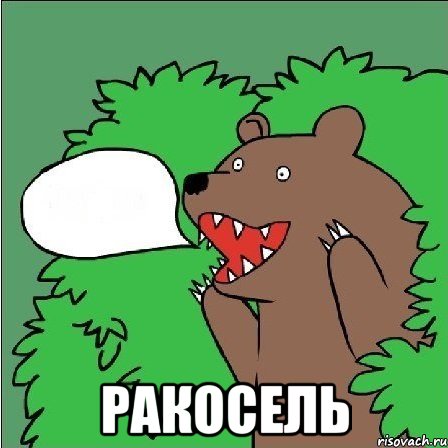  ракосель