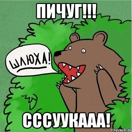 пичуг!!! сссуукааа!