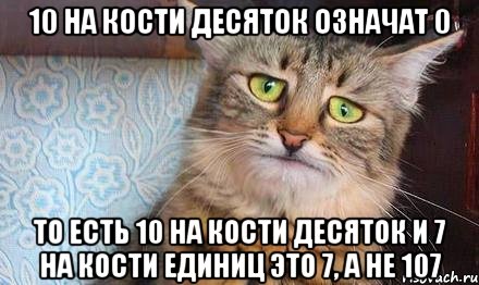 10 на кости десяток означат 0 то есть 10 на кости десяток и 7 на кости единиц это 7, а не 107, Мем  кот печаль