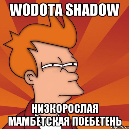 wodota shadow низкорослая мамбетская поебетень, Мем Мне кажется или (Фрай Футурама)