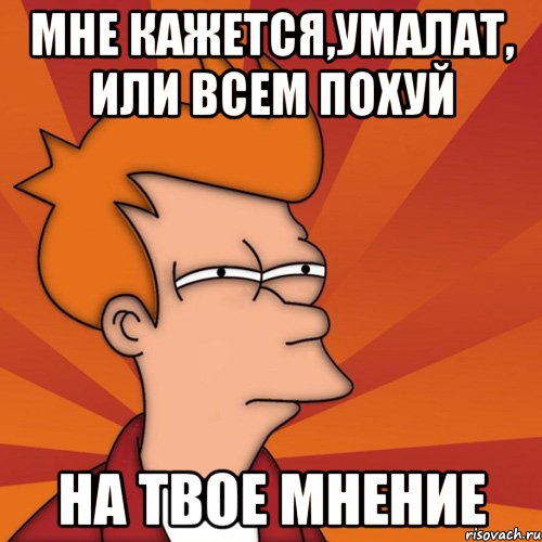 мне кажется,умалат, или всем похуй на твое мнение, Мем Мне кажется или (Фрай Футурама)