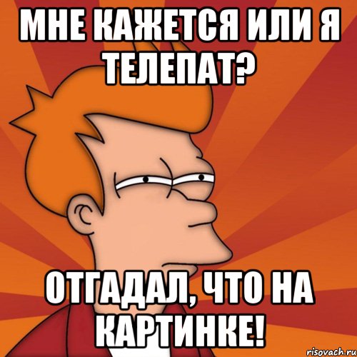 мне кажется или я телепат? отгадал, что на картинке!, Мем Мне кажется или (Фрай Футурама)