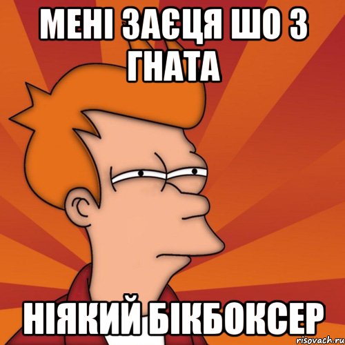 мені заєця шо з гната ніякий бікбоксер, Мем Мне кажется или (Фрай Футурама)