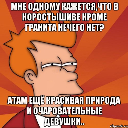 мне одному кажется,что в коростышиве кроме гранита нечего нет? атам ещё красивая природа и очаровательные девушки.., Мем Мне кажется или (Фрай Футурама)