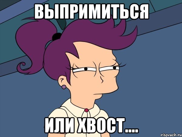 выпримиться или хвост...., Мем Мне кажется или (с Лилой)