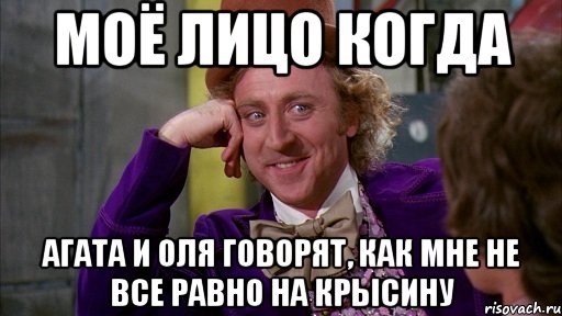 моё лицо когда агата и оля говорят, как мне не все равно на крысину, Мем Ну давай расскажи (Вилли Вонка)