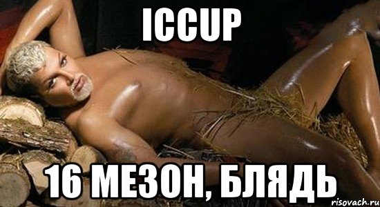 iccup 16 мезон, блядь