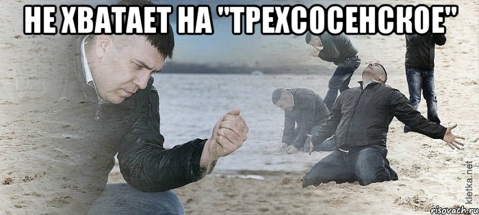 не хватает на "трехсосенское" , Мем Мужик сыпет песок на пляже