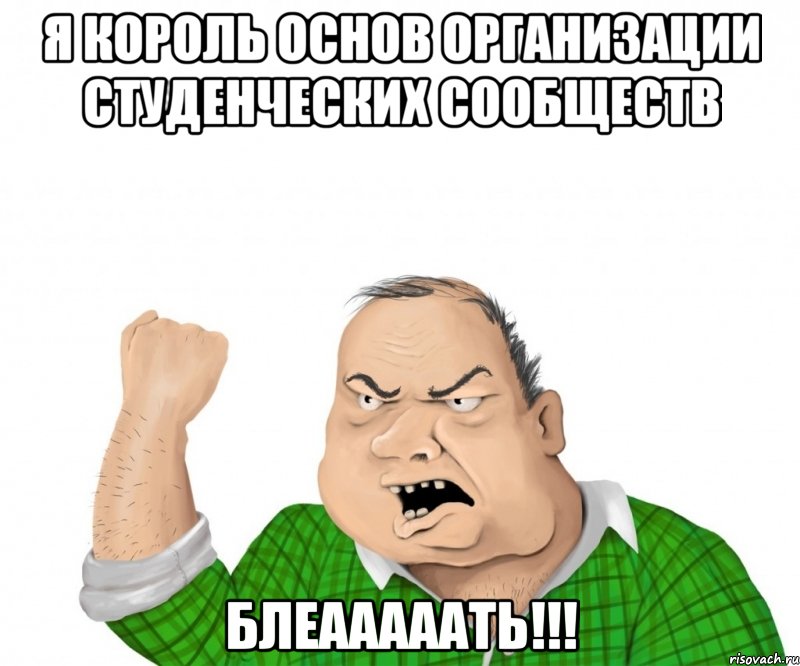 я король основ организации студенческих сообществ блеааааать!!!, Мем мужик