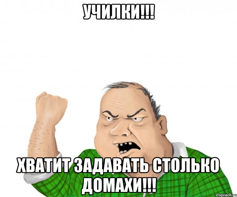 училки!!! хватит задавать столько домахи!!!, Мем мужик