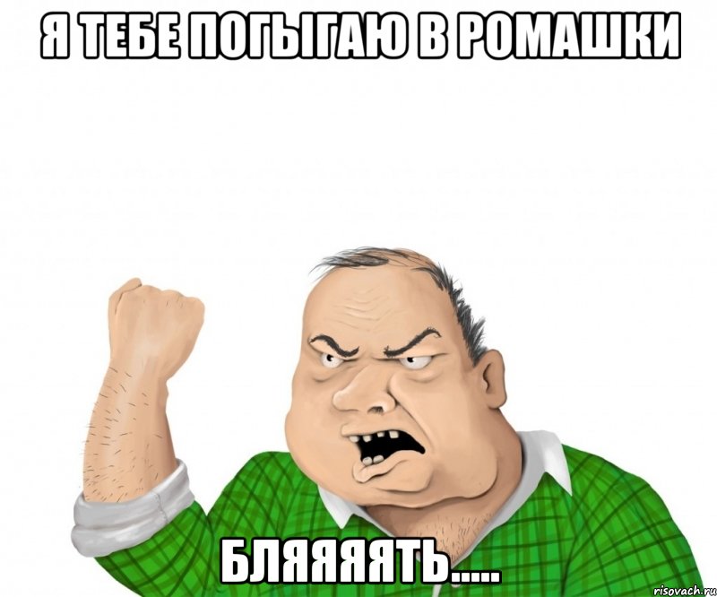 я тебе погыгаю в ромашки бляяяять....., Мем мужик