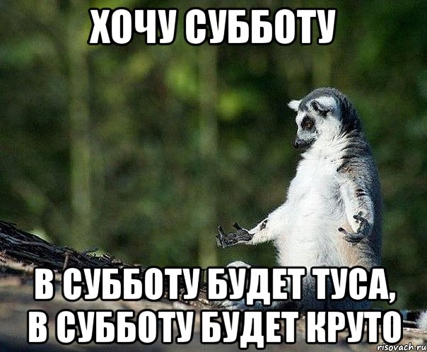 хочу субботу в субботу будет туса, в субботу будет круто, Мем не узбагоюсь