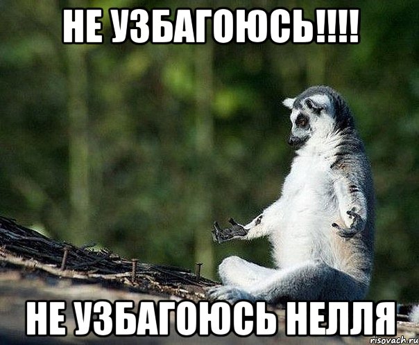 не узбагоюсь!!! не узбагоюсь нелля