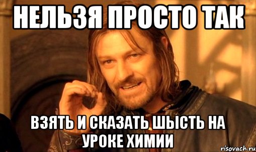 нельзя просто так взять и сказать шысть на уроке химии, Мем Нельзя просто так взять и (Боромир мем)