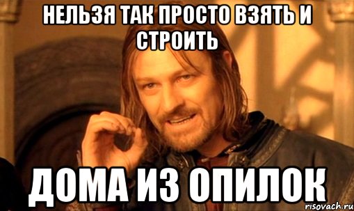 нельзя так просто взять и строить дома из опилок, Мем Нельзя просто так взять и (Боромир мем)