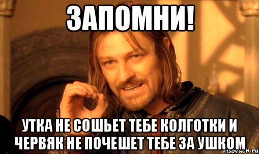 запомни! утка не сошьет тебе колготки и червяк не почешет тебе за ушком, Мем Нельзя просто так взять и (Боромир мем)