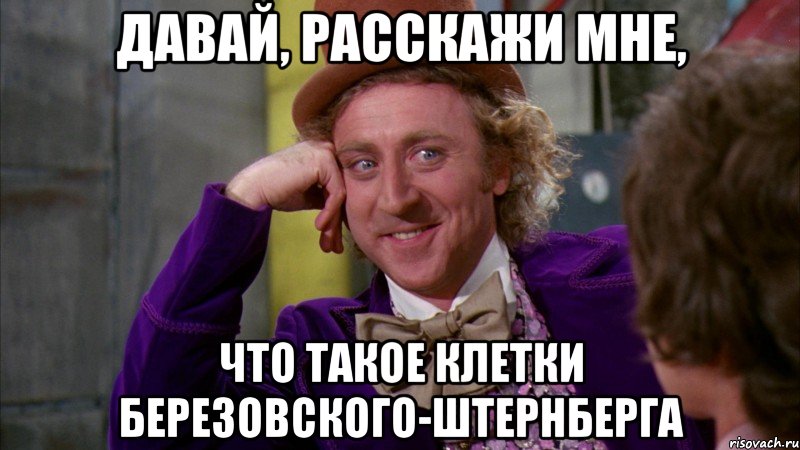 давай, расскажи мне, что такое клетки березовского-штернберга, Мем Ну давай расскажи (Вилли Вонка)